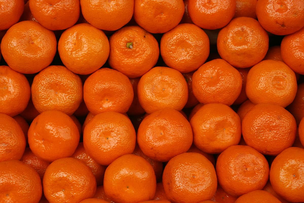 تفسير الاحلام | تفسير اللون البرتقالي في المنام - el3rosa | العروسة - el3rosa