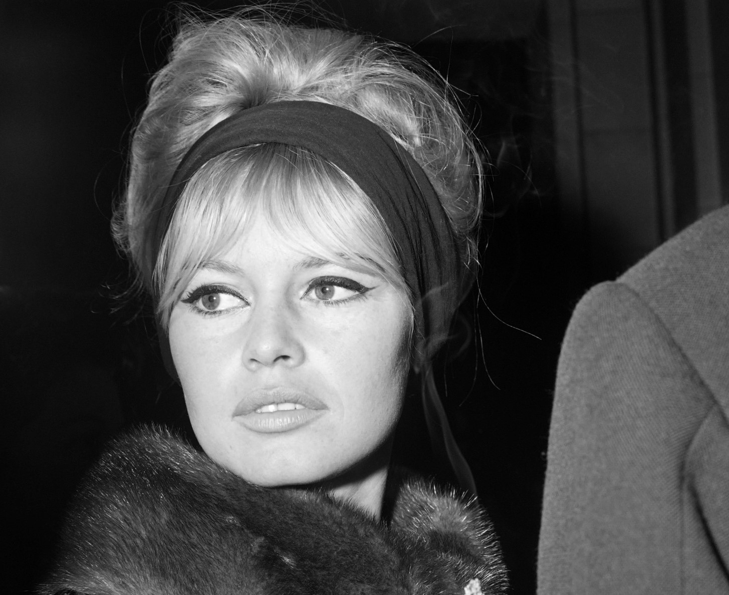 بريجيت باردو Brigitte Bardot - الصورة من وكالة AFP