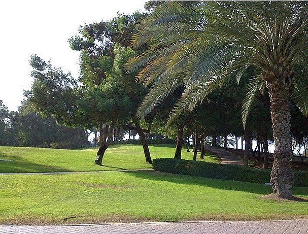 حديقة الراشدية للسيدات AL RASHIDIYA PARK FOR LADIES