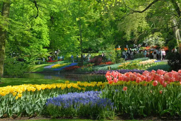 استمتعي بجمال الطبيعة في حدائق كوكن هوف Keukenhof Gardens