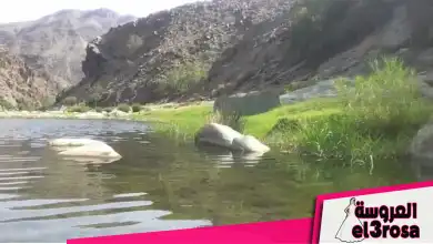 تفسير رؤية الوادي في المنام