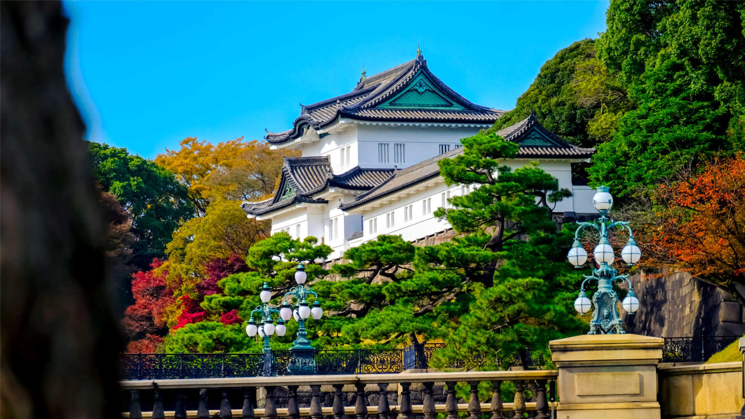 قصر طوكيو الإمبراطوري Tokyo Imperial Palace، طوكيو، اليابان