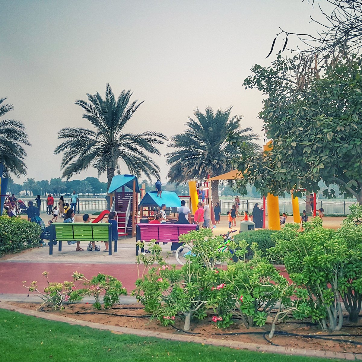 حديقة البرشاء AL BARSHA POND PARK