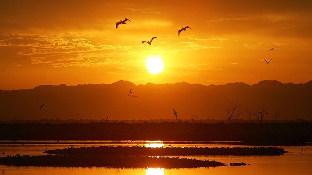 تفسير رؤية ثلاث شموس في المنام