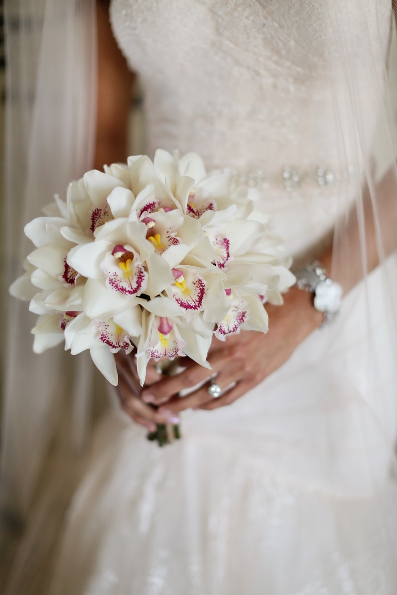 زهور الأوركيد الوردية Pink Cymbidium Orchid