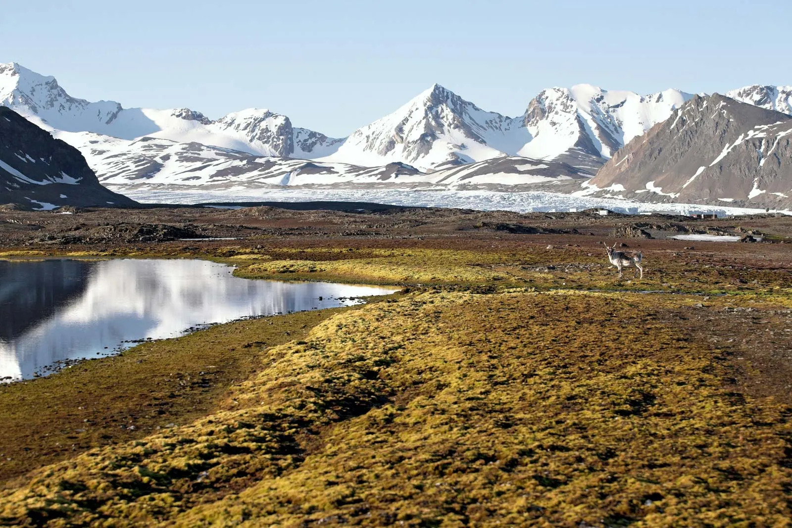 حديقة فورلانديت الوطنية Forlandet National Park، جزيرة برينس كارلز فورلاند