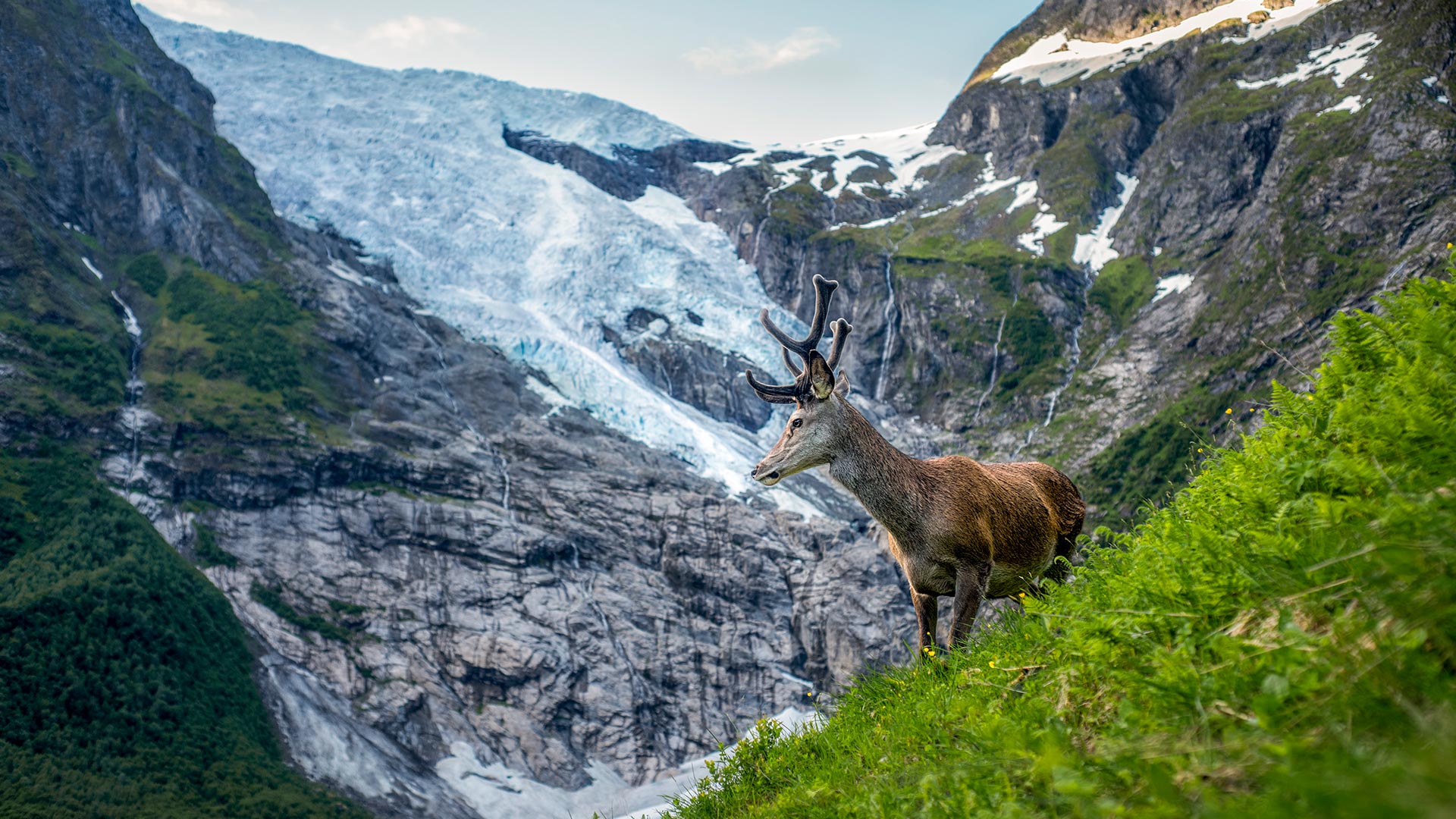 حديقة جوستيدالسبرين الوطنية Jostedalsbreen National Park، مقاطعة فيستلاند