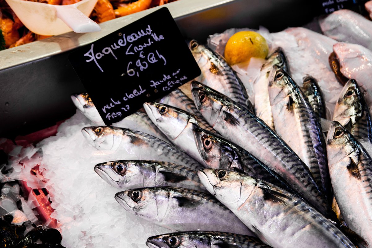 تفسير رؤية حلم شراء السمك في المنام التفسيرات الصحيحة الشاملة - موسوعة