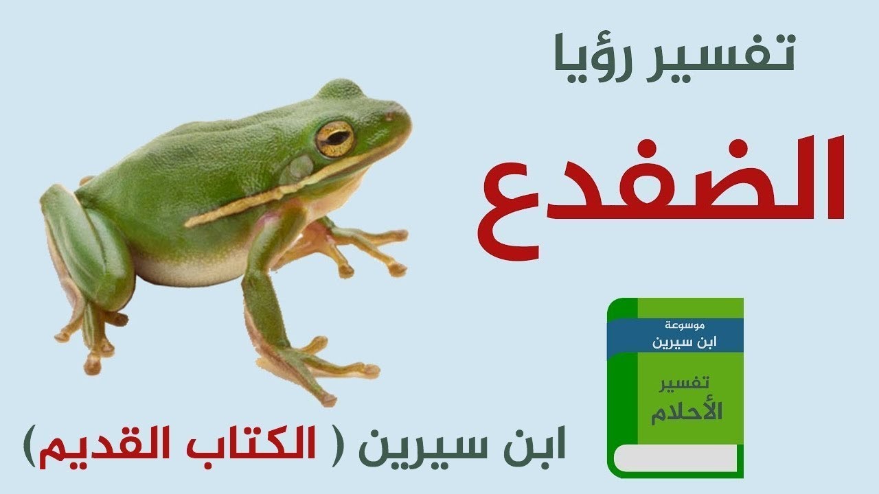 تفسير حلم الضفدع في البيت التفسير الصحيح الشامل - موسوعة