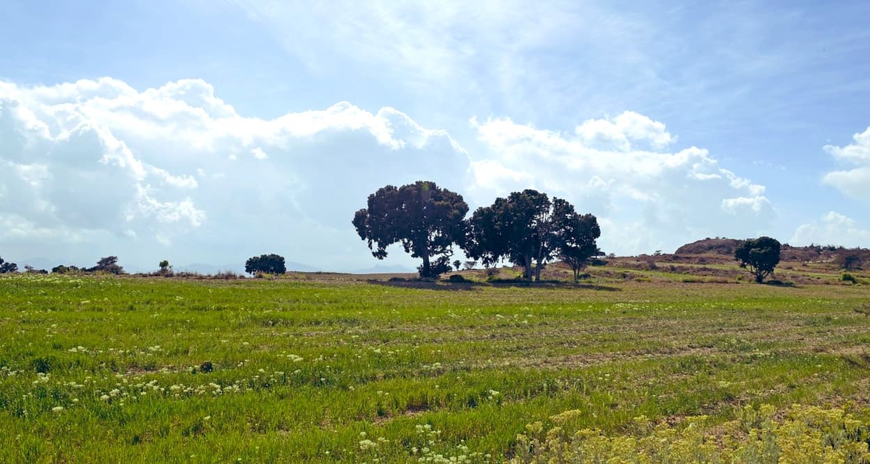 طبيعة فاتنة لعسير الساحرة