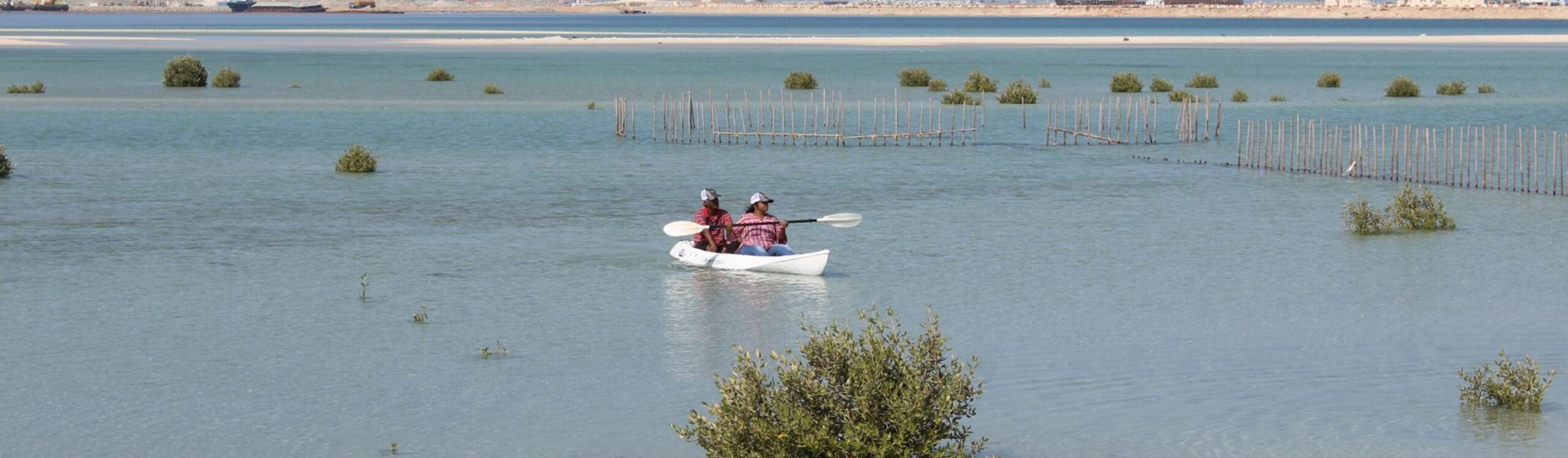 عن محمية جبل علي للحياة البرية