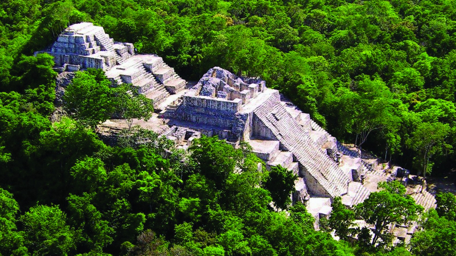 كالاكمول Calakmul، المكسيك