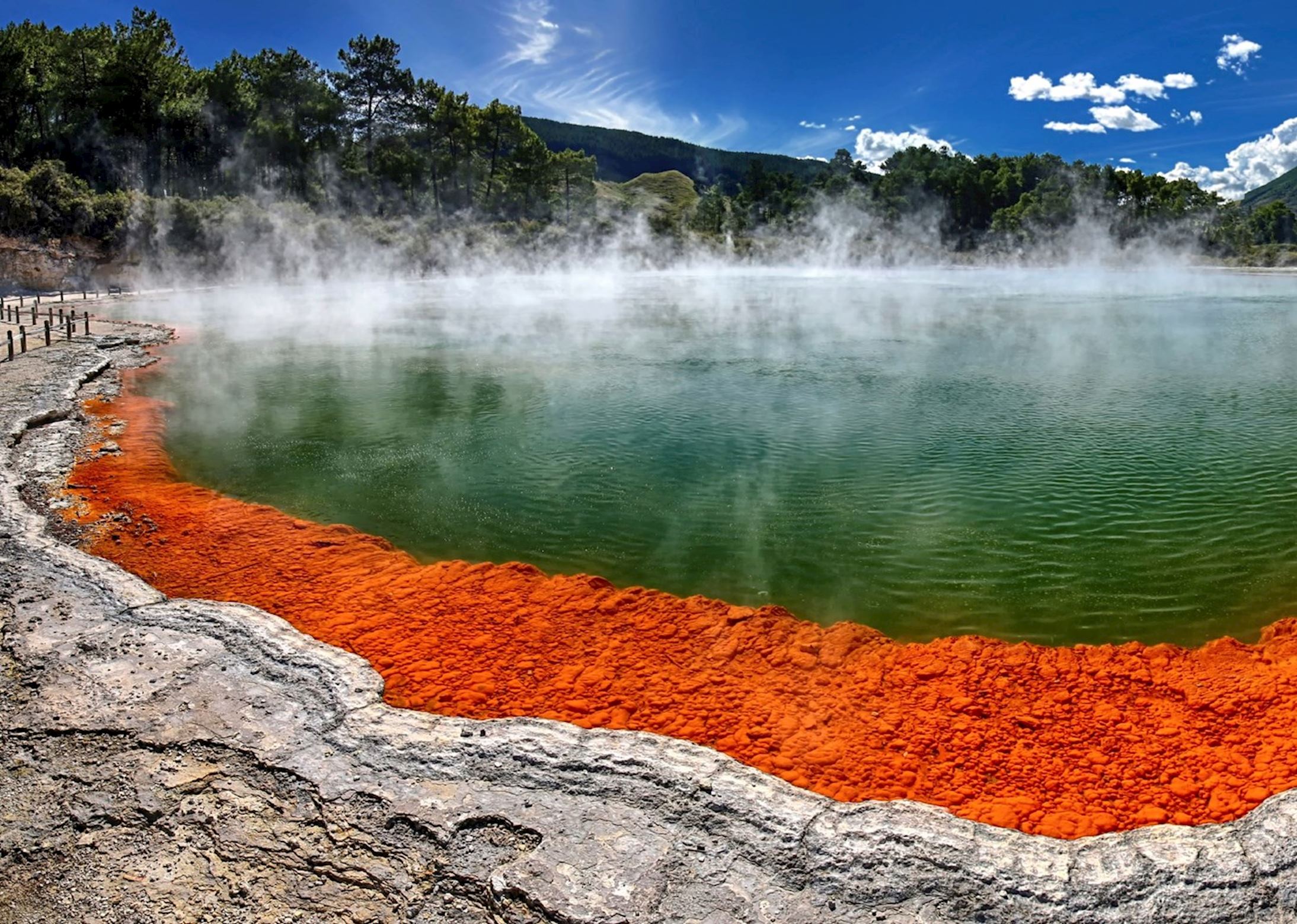 روتوروا Rotorua، نيوزيلندا