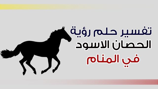 تفسير الحصان الاسود في المنام للعزباء