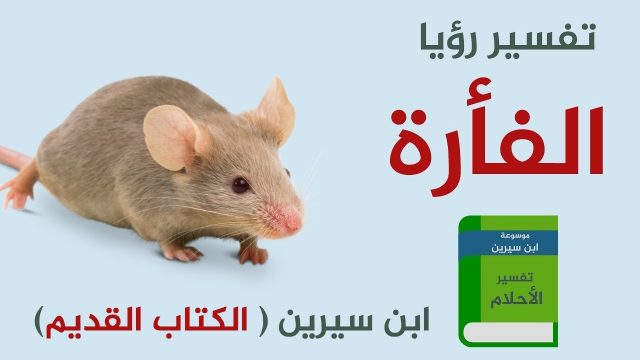 تفسير رؤية حلم فأر في المنام