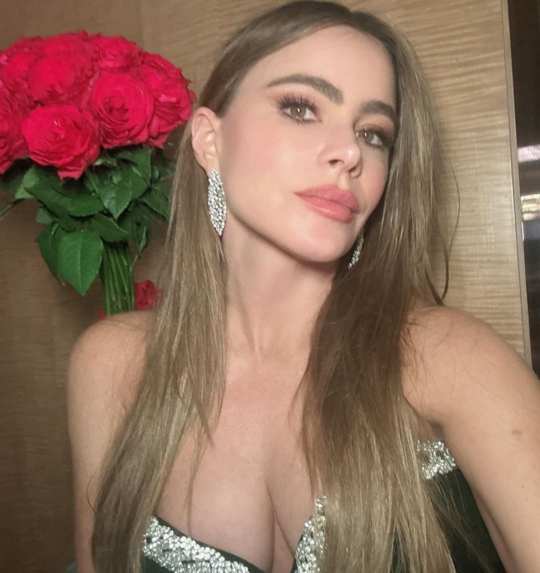 اطلالة Sofia Vergara برسمات المكياج المشرق