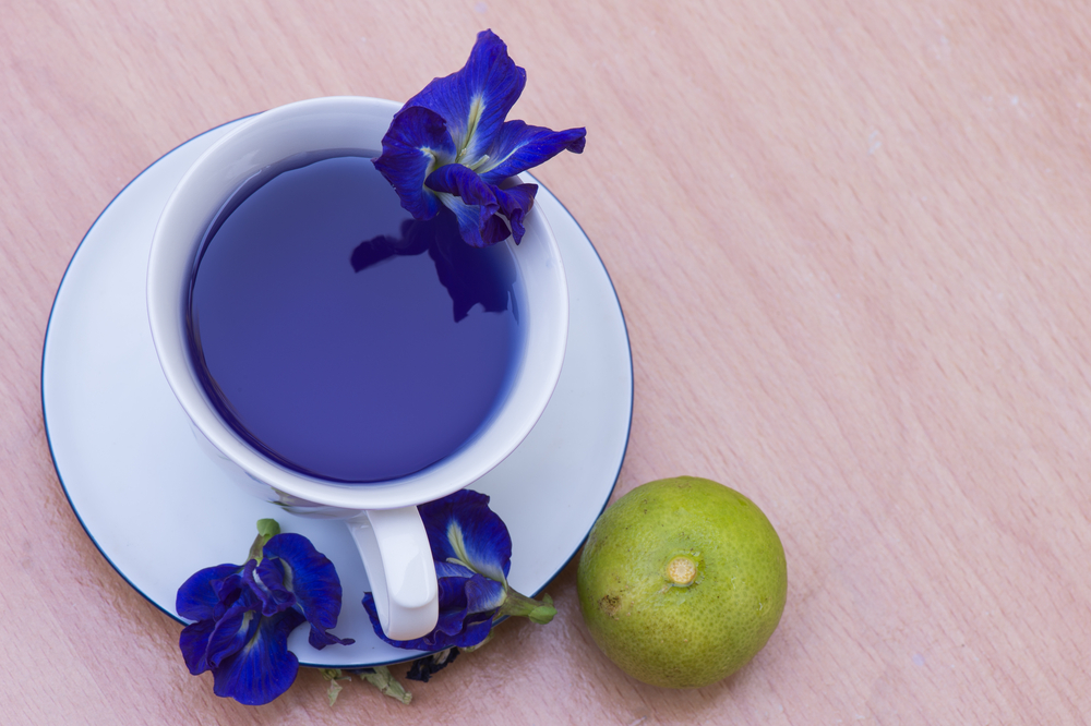 يفضل تناول الشاي الأزرق الخالي من السكر ويُمكن إضافة العسل أو الليمون لتحسين مذاقه