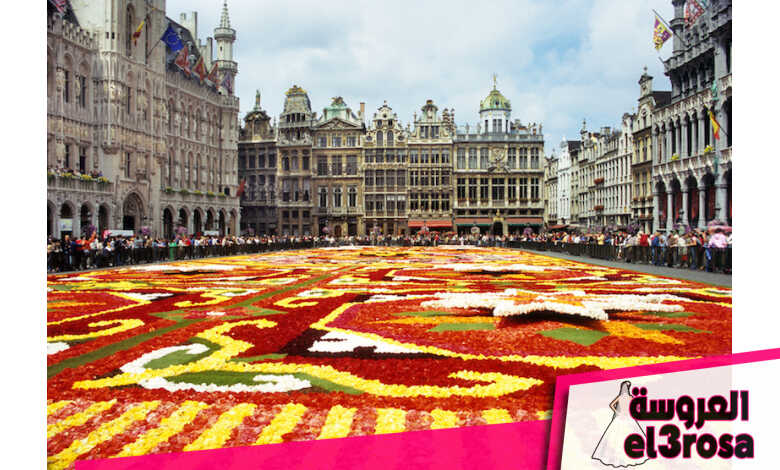 الميدان الكبير Grand Place، بلجيكا