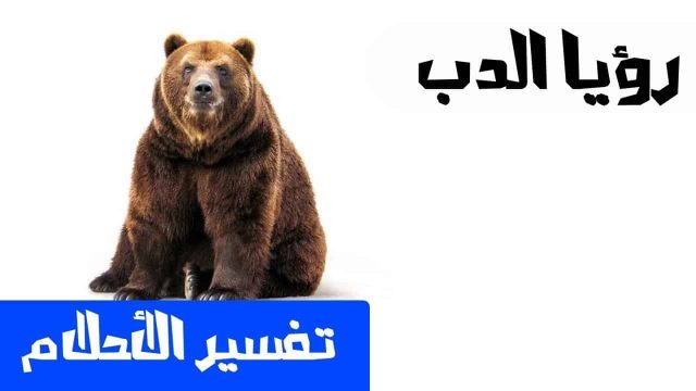 تفسير رؤية الدب في المنام للامام الصادق