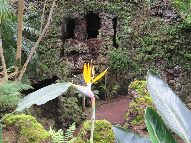 حديقة أنتونيو بوراجيس (António Borges Garden)