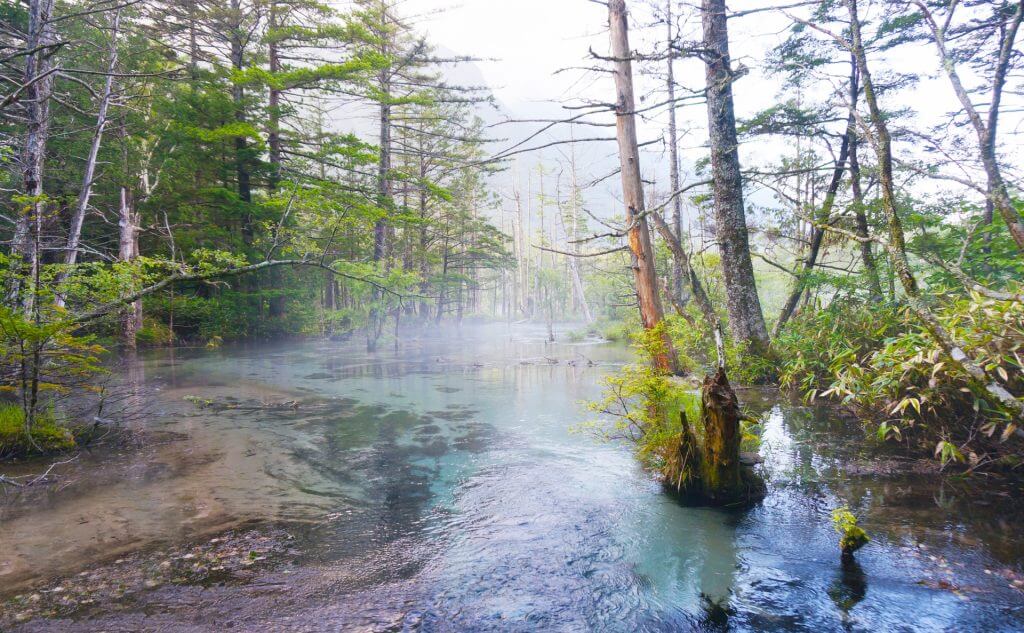 مستنقع داكيساوا DAKESAWA MARSH